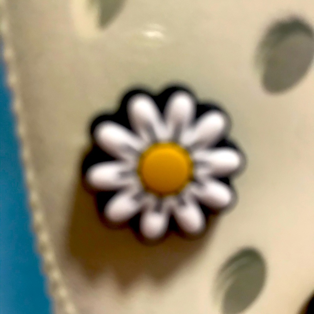 Jibbitz brand for Croc shoes. A daisy flower and a pink glazed donut.